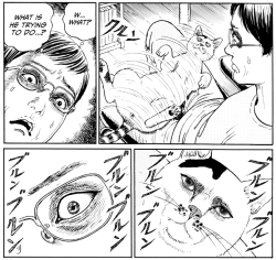 princesshollycollie:Junji ito`s cat diary