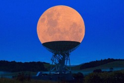 nickfuckface:  thingsfittingperfectly:  The super moon on a radio