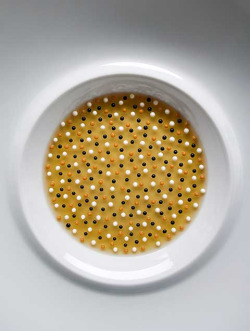 foodcurated:  Now this is presentation: Sea Urchin, Gelée of