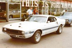 oldschoolgarage:  Brand new Shelby GT500 at the dealership.5