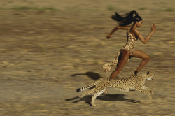 mustiest:  Naomi Campbell by Jean-Paul Goude, 2013 // Janice