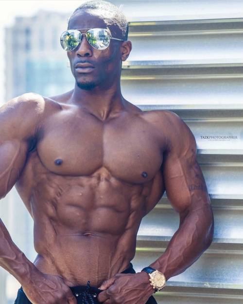 musclecomposition:Muscle model, Williams Falade