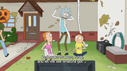 meseeksanddestroy:  Rick and Morty | S01E11 | Ricksy Business
