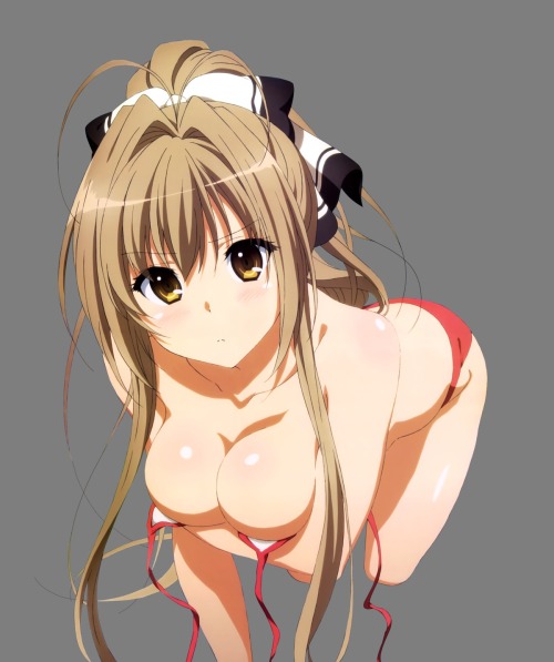 akira-europe:  amagi brilliant park bikini breast hold breasts cleavage sento isuzu swimsuits transparent png | #307574 | yande.re