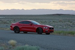 JUST THE COOLEST MUSTANGS