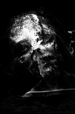 goreobsessedxx:  Follow me you dirty fuckers