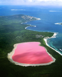 dailyoverview: Check out this stunning aerial view of Lake Hillier,