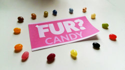 harvzilla:  Fur? Candy More colours, more flavours, more transformation