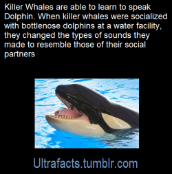 ultrafacts:  Source [x] Click HERE for more facts 