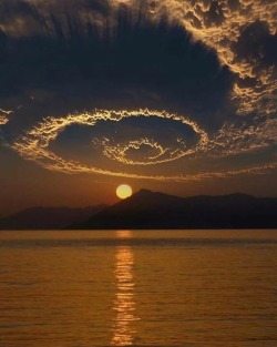 druged:  spread love
