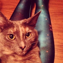 galaxyleggs:  Little Isis….and my newest #blackmilk :) by aalder