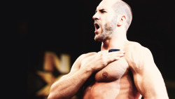  NXT - December 25th 2013Antonio Cesaro vs. William Regal   