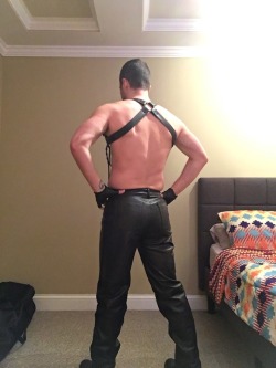 britneyspearow:Got a new hunter harness yesterday. Who wants