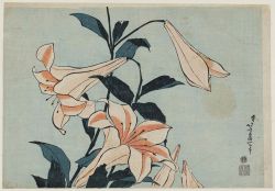 malinconie:  Flowers by Katsushika Hokusai 