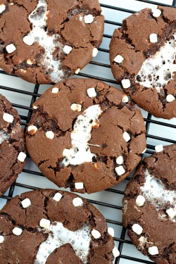 fullcravings:  Hot Cocoa Cookies  Holy wow