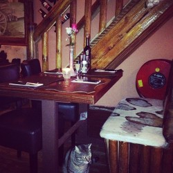 They have cats in the restaurants I’m in heaven.