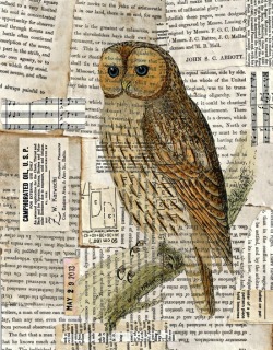 bestof-society6:    ART PRINTS BY AUTUMNSENSATIONWoodland Owl