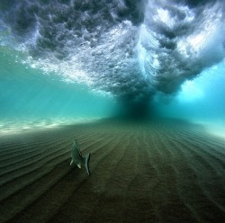 littlemermaidtears:  frma2z:  To live under waves 😍 This grabbed