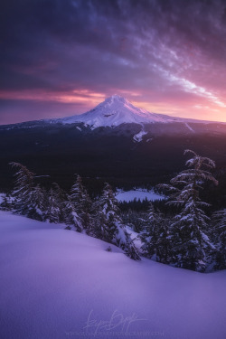 drxgonfly:  Rise and Fall (by Ryan Dyar)