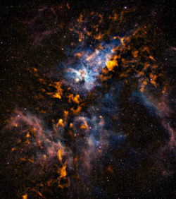 looking-at-the-universe:  The cool clouds of Carina
