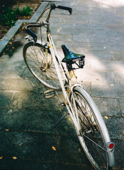 Verano 2015. Aprendí a montar bici 🚲