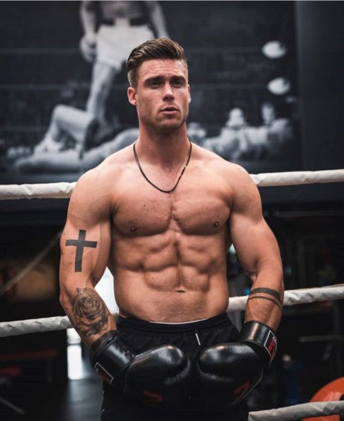 bears-muscle-boxing:  Gloves, arms & abs…