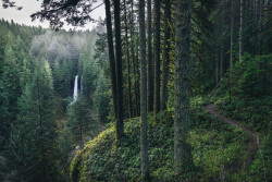 wanderthewood:   Silver Falls State Park, Oregon by MILpriority