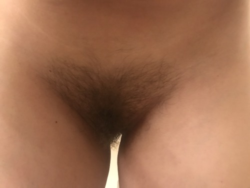 Avijo88