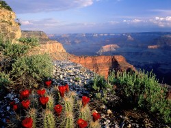 yuzees:Arizona’s Grand Canyon is a natural formation distinguished