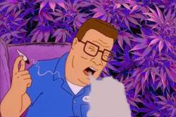 stayweirdwhereyouare:  ”Hank Hill Smokes Salvia (Dank Hill)”(Kollab