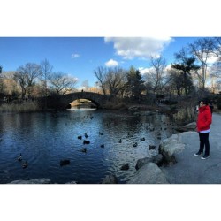 At #CentralPark 🇳🇾  #panoramic shot by @macgeenow    #newyork