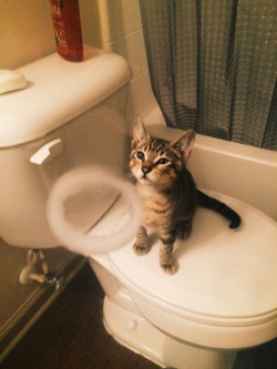 thatonebl0nde:  He likes to catch my O’s in the morning 