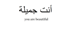 shuroqmutlaq:  avolating:  you are beautiful no matter what anyone