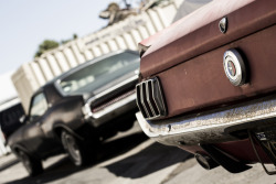 itcars:  Ford Mustang & Mercury Cougar  Image by Sean Killeen