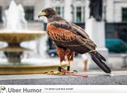 omg-pictures:  The reason why pigeons disappeared from Trafalgar