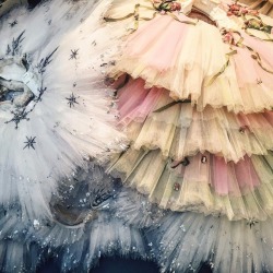 andantegrazioso:  Boston Ballet tutus |  bostonballet  