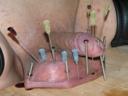 pet-of-mistress-v:I’ve had needles in my cock but never in