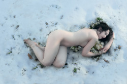 sarahallegra:  The Fragile Blossom That Opens In The Snow  “Courage