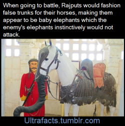 ultrafacts:The Rajputs cleverly exploited the enemy’s weak