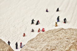 polychelles:Socotra by Csilla Zelko