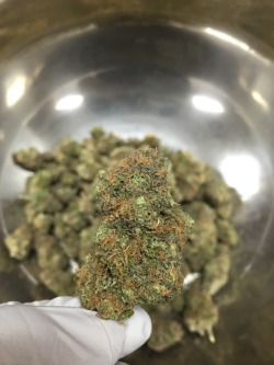 derrickf23:  Purple candy has arrived right on time for 420 🍬