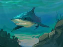 awesomedigitalart:  Bull shark by LynxMB