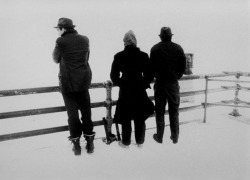 STRANGER THAN PARADISE