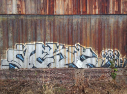 graffitirichmond:  aest, http://andrewskateskate.tumblr.com/