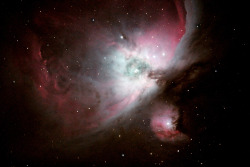 spaceexp:  Orion Nebula M42