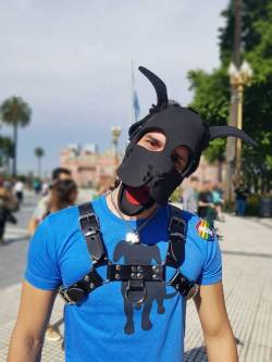 pupboltofficial:  En el gay pride 2018 en Buenos Aires 