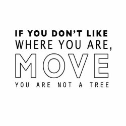 thinkpositive2:  More inspiration and motivation at https://thinkurl.us/htthinkpositive