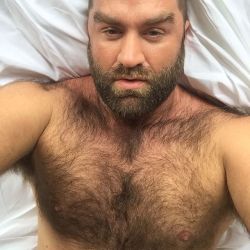 beardburnme:  “Furry cub lounging in bed #hairy #hairychest