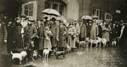 vintageeveryday:  People bringing their dogs for destruction,