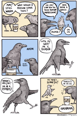 mikkeneko:  falseknees: “I love cats! I’m on a diet!” I